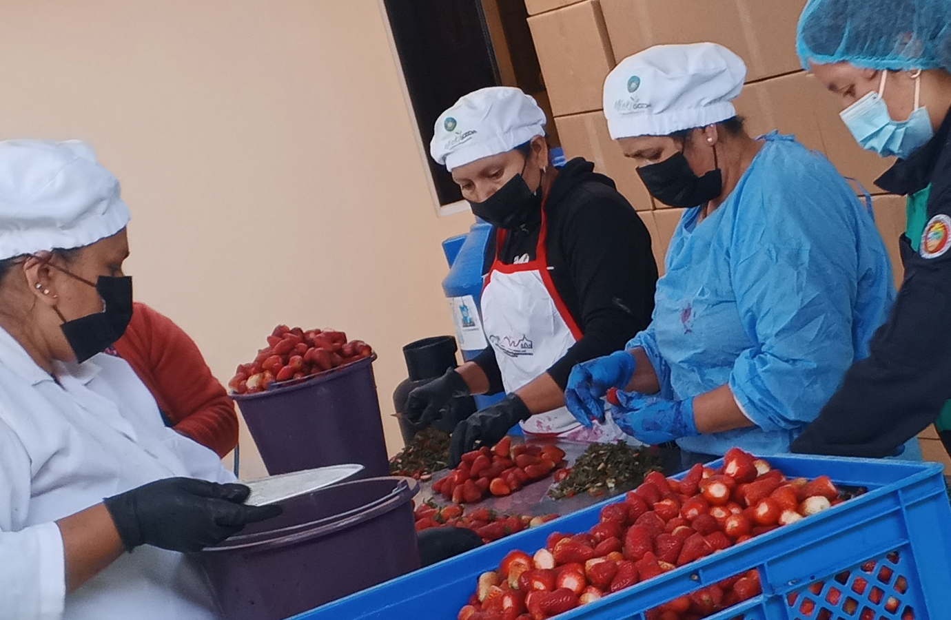 Nuestros proveedores
